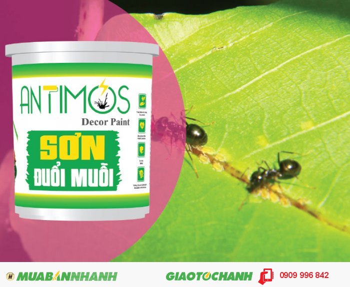 Sơn màu đuổi kiến Antimos | Quy cách: 1000ml | Giá: 250.000đ | Mô tả: Sơn đuổi muỗi, kiến và côn trùng Antimos là sự kết tinh hài hòa giữa tinh dầu cây cỏ thiên nhiên, hoạt chất đuổi muỗi và nhựa Acrylic Elmusion tạo thành sản phẩm sơn đuổi muỗi vô cùng hiệu quả và an toàn., 5