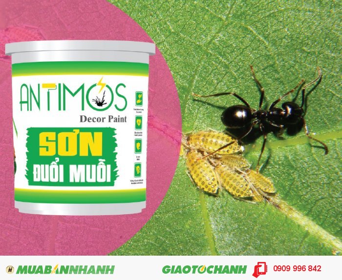 Sơn màu đuổi kiến Antimos | Quy cách: 1000ml | Giá: 250.000đ | Mô tả: Với mùi hương dễ chịu từ thảo dược, Sơn Antimos đã được chứng nhận bởi Viện kiểm nghiệm Pasteur về mức độ an toàn và tầm ảnh hưởng đối với sức khỏe cộng đồng, Bạn hoàn toàn có thể an tâm lựa chọn dòng Sơn chống muỗi Antimos, 5