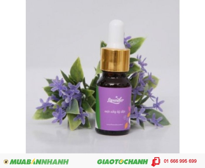 Mã sản phẩm: TD06010C | Giá bán: 235.000 | Dung tích: 10ml | Mô tả: Tinh dầu hoa oải hương là loại tinh dầu đa năng nhất trong các loại tinh dầu, giúp giảm stress. , 1