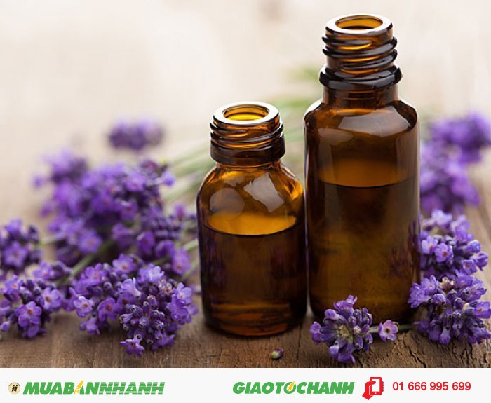 Ngoài ra tinh dầu hoa oải hương có tính sát trùng rất mạnh; khi mát-xa cho da có thể giúp điều trị một số vấn đề về da như mụn, bỏng, da khô, chàm và mẫn ngứa., 2