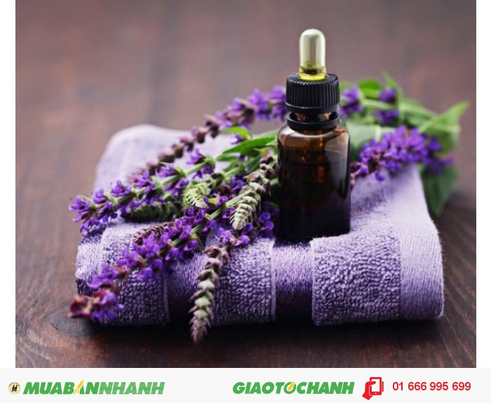 Đặc biệt, tinh dầu oải hưởng rất tuyệt vời để xoa dịu cơ bắp và tạo môi trường để ngủ ngon, giúp giải cảm và ho. , 3