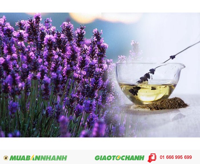 Mùi hương tinh tế thể hiện sự lịch sự, tao nhã và điềm tĩnh giúp giảm căng thẳng, tái tạo năng lượng và dễ ngủ., 4