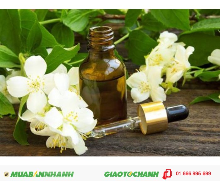 Dầu hoa nh&agrave;i c&ograve;n c&oacute; t&aacute;c dụng chữa đau v&agrave; gi&uacute;p tinh thần sảng kho&aacute;i hơn, n&oacute; gi&uacute;p bạn t&igrave;m lại được sự y&ecirc;n b&igrave;nh v&agrave; chống căng thẳng. Mang đến sự thoải m&aacute;i v&agrave; y&ecirc;n tĩnh cho cơ thể, gi&uacute;p hỗ trợ trị chứng: L&atilde;nh cảm, suy nhược, cơn đau đẻ. , 2