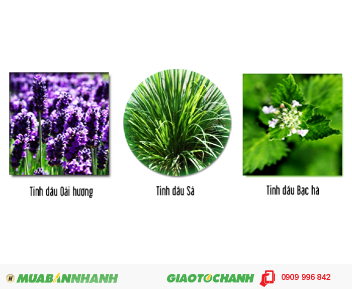 Sơn đuổi muỗi Antimos là sự kết tinh hài hòa giữa tinh dầu cây cỏ thiên nhiên, hoạt chất đuổi muỗi và nhựa Acrylic Elmusion tạo thành sản phẩm sơn đuổi muỗi vô cùng hiệu quả và an toàn., 1