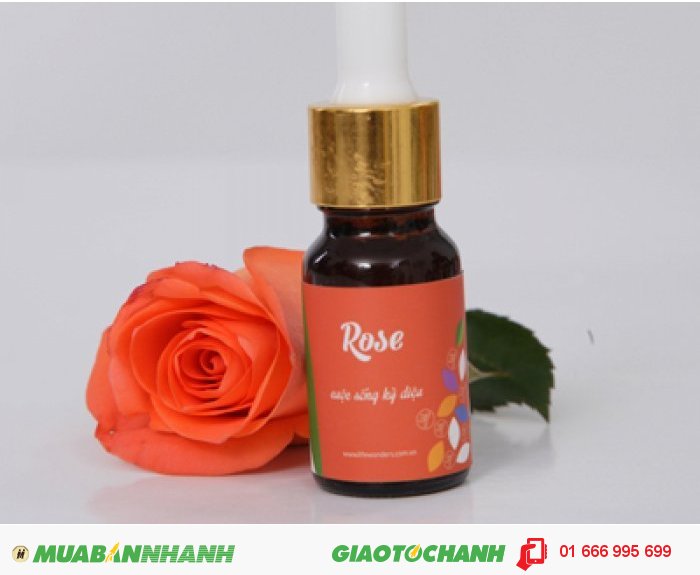 Tinh dầu Rose (Hoa Hồng)| Mã sản phẩm: TD11010C | Giá bán: 295.000 | Dung tích: 10ml | Mô tả: Tinh dầu hoa hồng là loại tinh dầu bậc nhất có tác dụng khơi gợi đam mê và sự lãng mạn cũng như giải tỏa đau buồn, trị trầm uất và loạn thần kinh. Tinh dầu hoa hồng có thể giúp cân bằng hóc-môn nữ, điều hòa chu kỳ kinh nguyệt, giải tỏa các triệu chứng tiền kinh nguyệt hay trong quá trình hành kinh. Tinh dầu hoa hồng cũng có tác dụng trị mụn, vết nhăn, chàm,giúp se lỗ chân lông. Giảm nhiễm khuẩn,sưng tấy và loét. Giảm ho, sốt, đau họng, nôn ói và các bệnh về đường hô hấp., 4