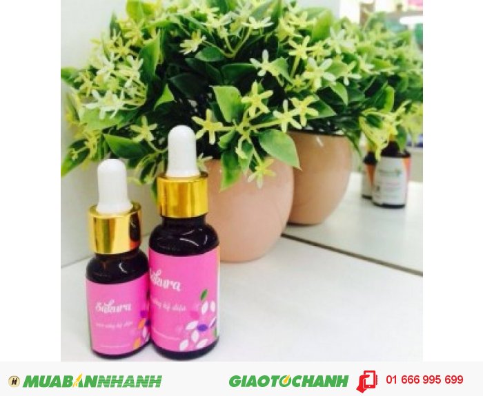 Tinh dầu Sakura (Hoa Anh Đào) | Mã sản phẩm: TD09010C | Giá bán: 235.000 | Dung tích: 10ml | Mô tả: Tinh dầu Sakura giúp cân bằng hormon nữ, làm đẹp da và tóc, giúp chuyển hóa mỡ và giảm cân. Tinh dầu Sakura cũng giúp cải thiện tình trạng của da và móng., 5