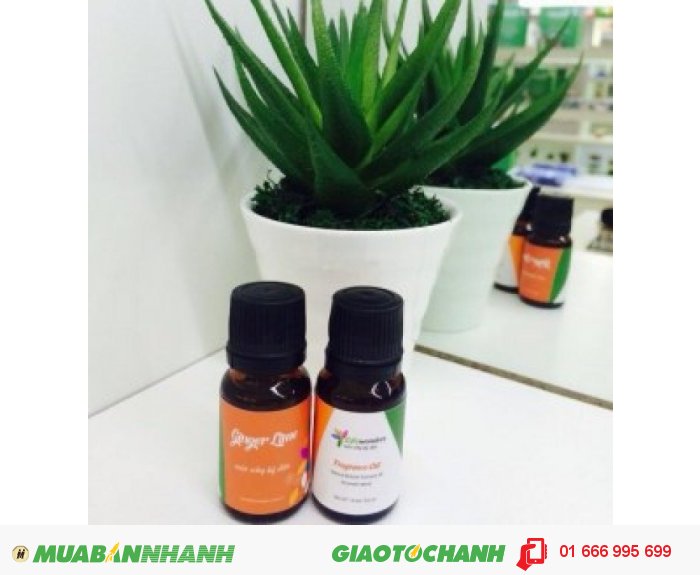 Tinh dầu Ginger Lime (Chanh Sần)|Mã sản phẩm: TD04010C | Giá bán: 235.000 | Dung tích: 10ml | Mô tả: Tinh dầu chanh sần có mùi hương thanh khiết, tươi mát có tác dụng thanh lọc không khí, diệt khuẩn. Tác dụng trên da: giải độc cơ thể, chống oxy hóa , làm trẻ hóa làn da., 3