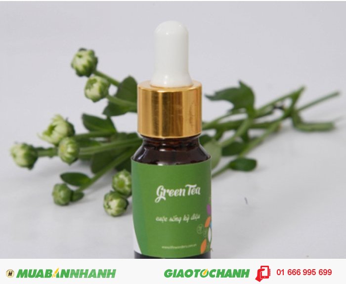 Tinh dầu Green Tea (Trà Xanh) | Mã sản phẩm: TD21010C | Giá bán: 235.000 | Dung tích: 10ml | Mô tả: Tinh đâu giúp trị mụn, điều hòa da, tạo cảm giác thư thái, chống khuẩn, chống viêm. Pha tinh dầu nguyên chất cây trà và tinh dầu nguyên chất oải hương giúp giảm mụn, chống nhiễm trùng và giảm những vết đen trên da mặt, giúp da mặt sáng và sạch hơn. , 5