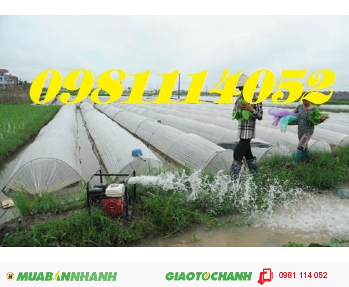 Chỗ bán máy bơm nước chạy xăng động cơ gx160 giá rẻ 567240859ab66_1450328197