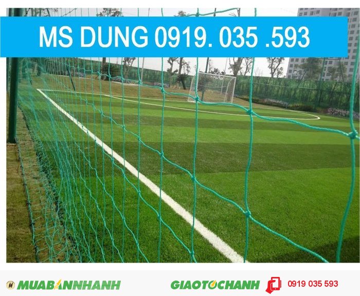 Lưới bóng đá -golf