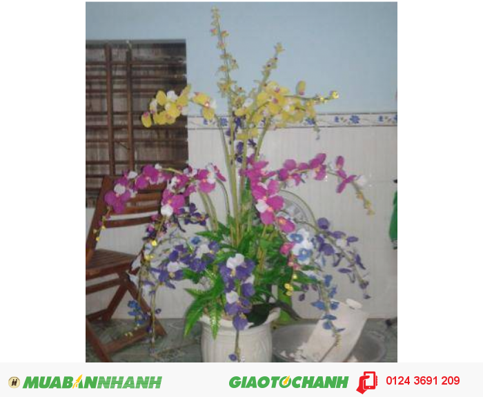 Chậu hoa đẹp nhiều màu sắc giá rẻ