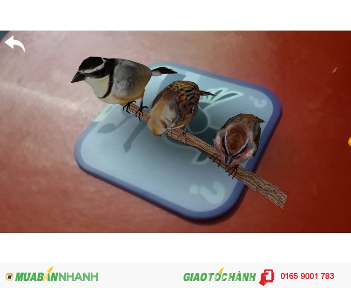 [​IMG]