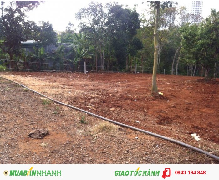 Bán đất Ama khê Nguyễn Lâm tiện xây biệt thự sân vườn