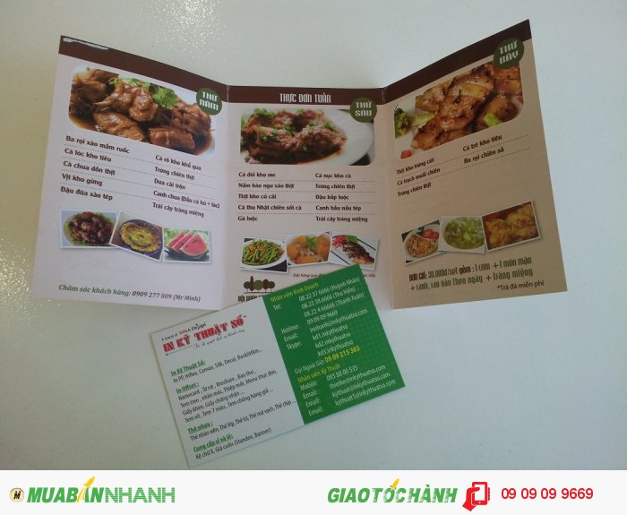 In nhanh brochure | In brochure nhanh, đẹp chất lượng tại TPHCM