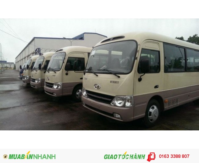 Couty Đồng Vàng Thế Hệ Mới