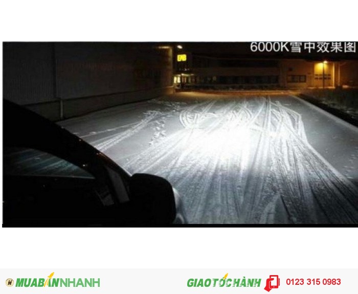Bộ bóng đèn Xenon (HID) - XHL-1.1