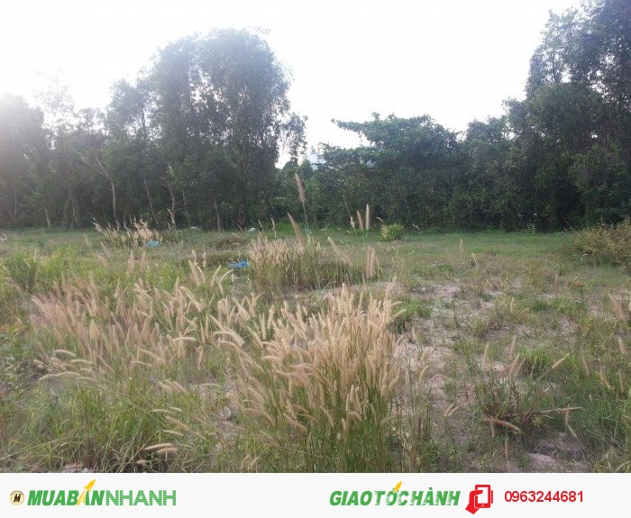 Bán Đất Thổ Cư Thạnh Xuân, Thạnh Lộc quận 12