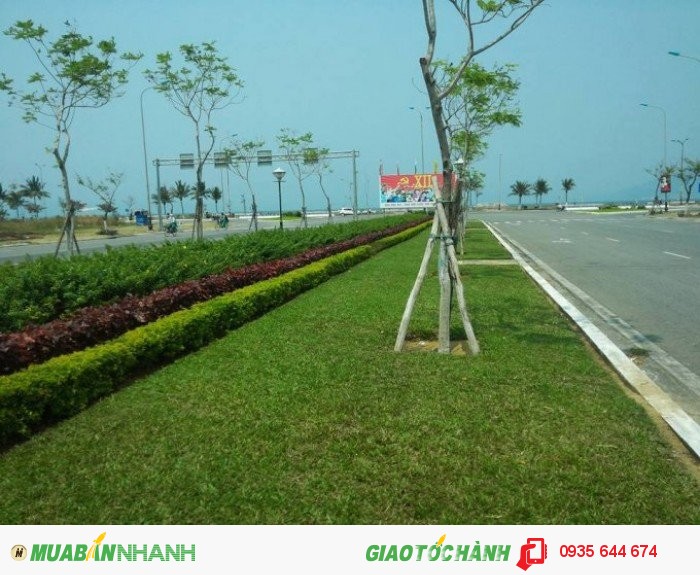 Cần tiền bán gấp lô đất đường Nguyễn Sinh Sắc rộng 60m chạy ra biển