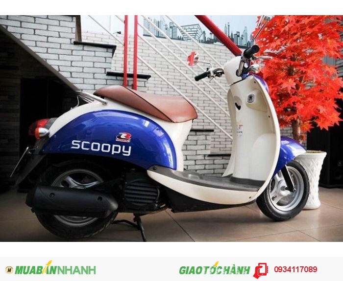 Honda Scoopy 50cc - Made in Japan - 14tr5 !