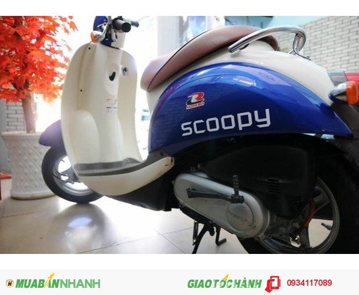 Honda Scoopy 50cc - Made in Japan - 14tr5 !