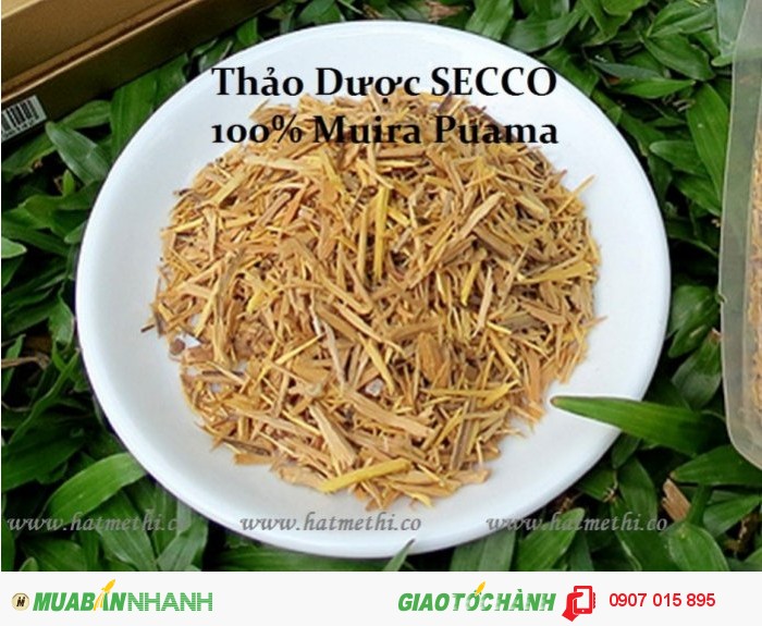 Thảo dược SECCO trị chứng mềm & liệt dương hiệu quả