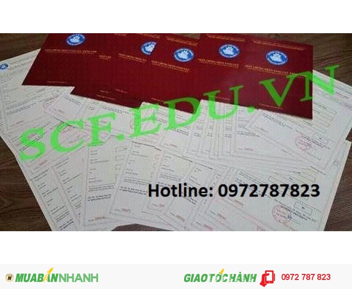 Mở Lớp Chứng Chỉ Tiếng Anh Khung Tham Chiếu Châu Mới 100 Giá Liên Hệ Gọi 0972 787 823 6182