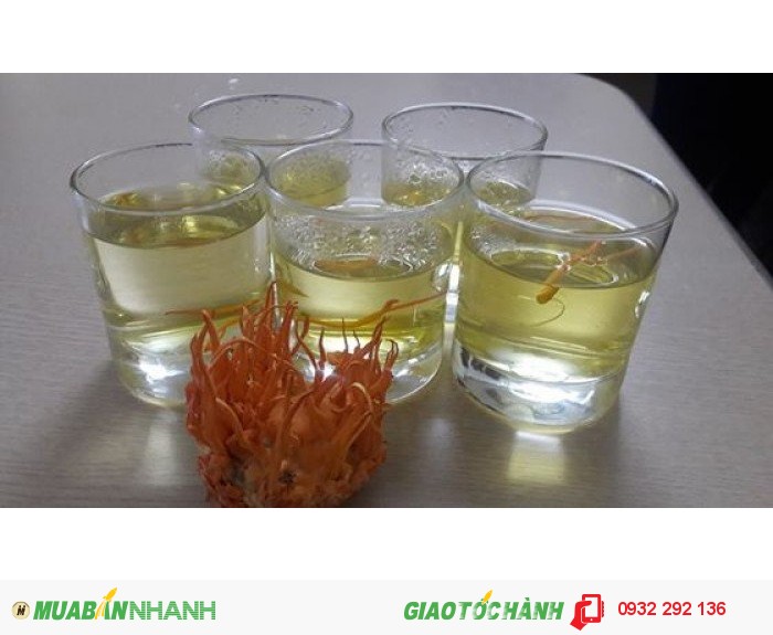 Cách chế biến ĐTHT sinh khối