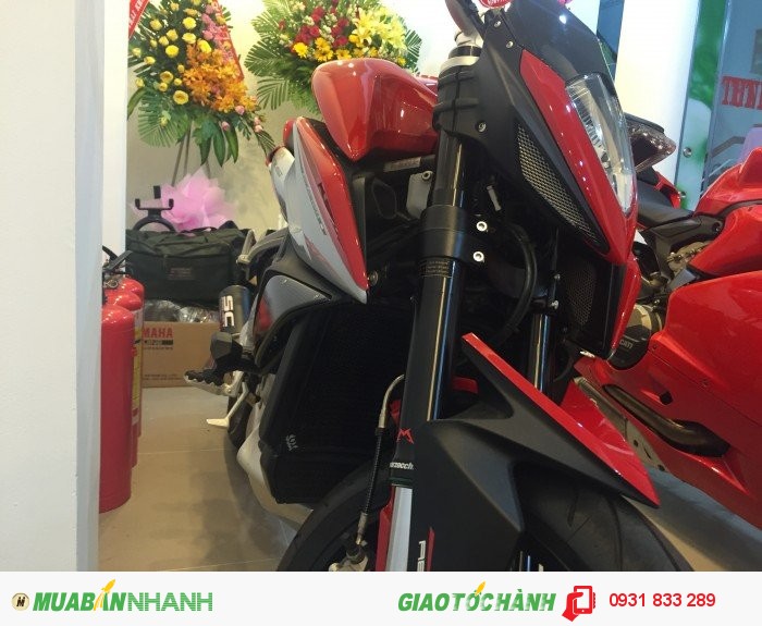 Cần Bán AGUSTA RIVALE 800cc