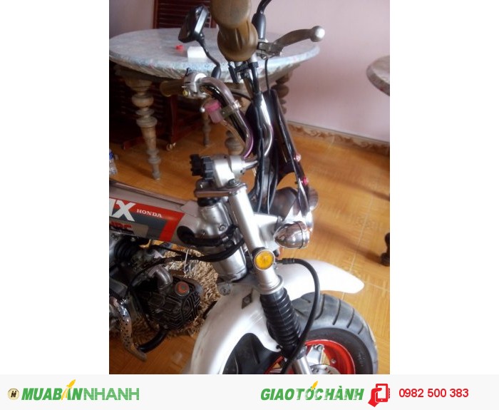 dax st50.full100
