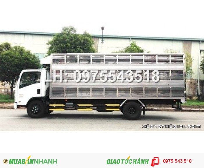 Xe tải Isuzu NQR75L 5.5 tấn