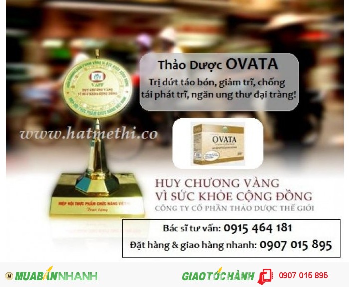 Thảo dược Ovata chữa bệnh trĩ, táo bón hiệu quả 5754500823d7f_1465143304