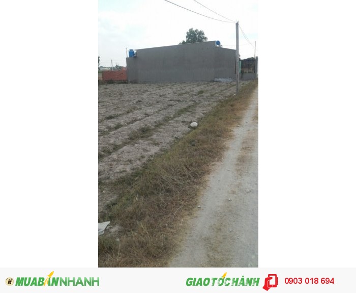 Bán đất thổ cư Ấp Giồng Lớn, xã Mỹ Hạnh Nam, Huyện Đức Hoà, Tỉnh Long An