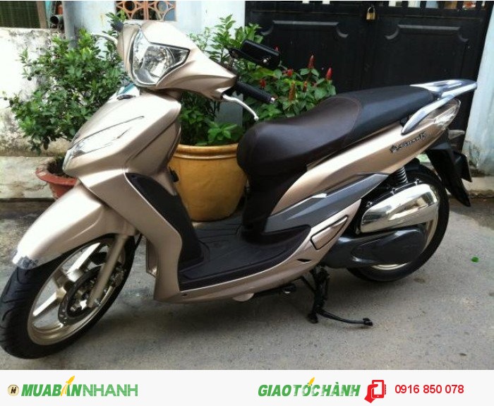Shark màu vàng bạc ngay chủ 2 k10