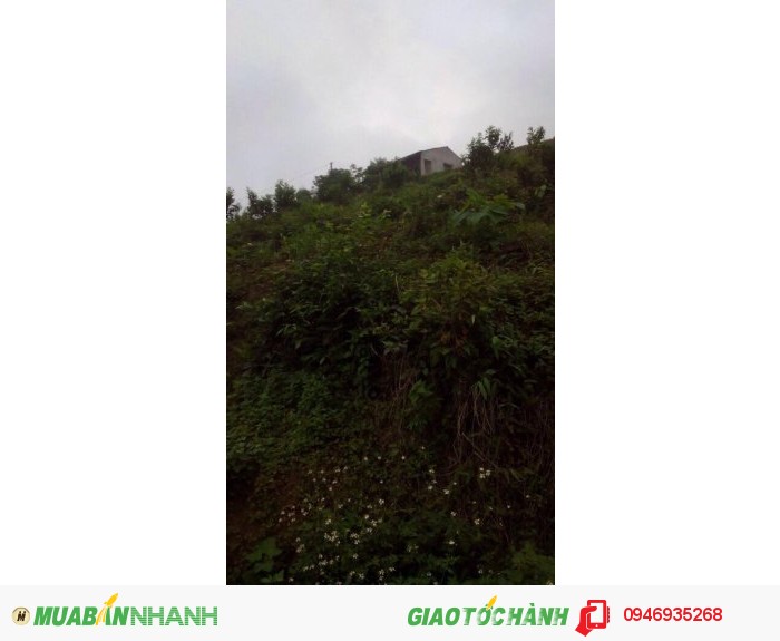 Nhượng lại giá rẻ đất làm trang trại(sổ đỏ chính chủ)