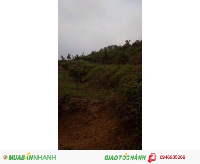 Nhượng lại giá rẻ đất làm trang trại(sổ đỏ chính chủ)