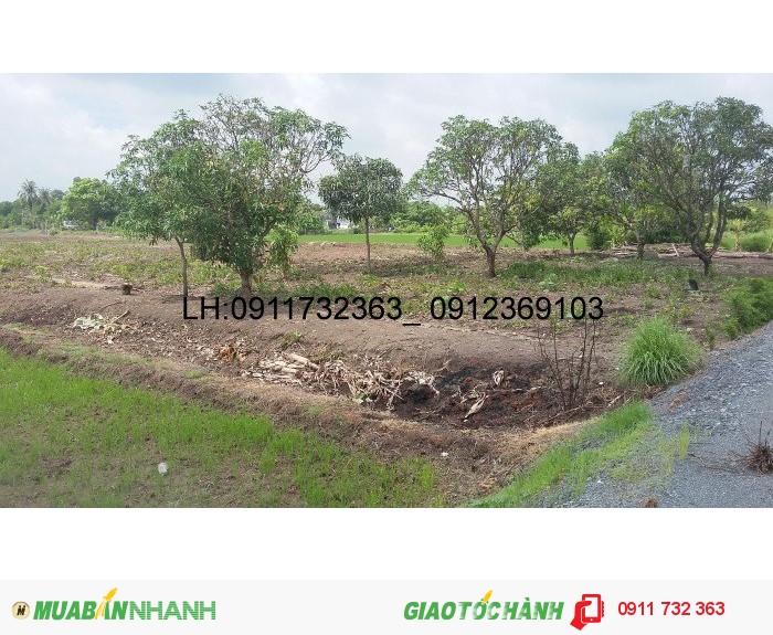 Đất hot_ dt 2882 m2 ngang 37m, mặt tiền Võ Văn Thu_ Bình Chánh.