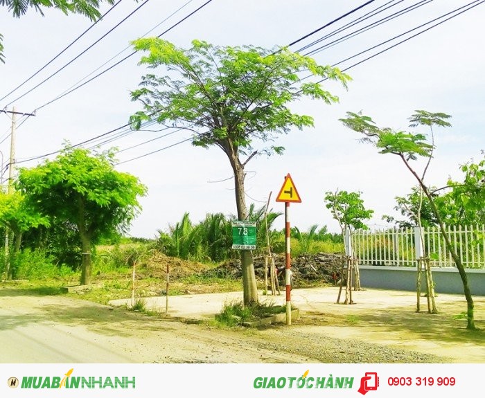 Bán nhà xưởng mặt tiền Hương lộ 11, Bình Chánh, giá 4.5tr/m2, mặt tiền 50m