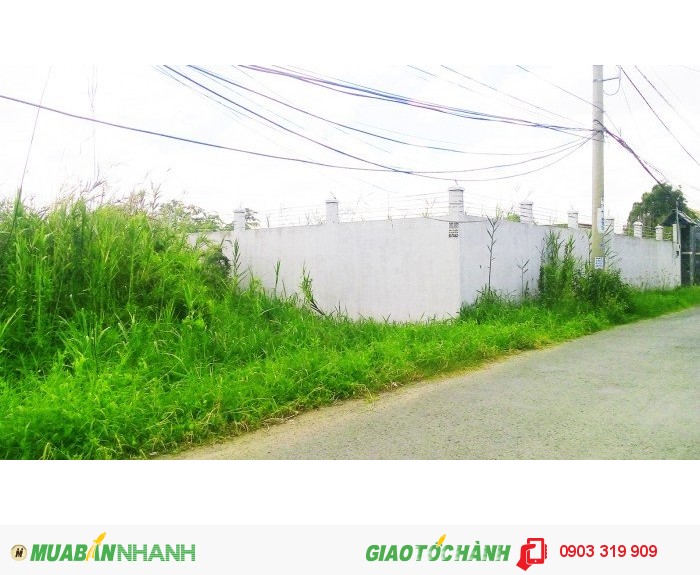 Bán 2200m2 đất phân lô giá rẻ Tân Liêm, Bình Chánh.