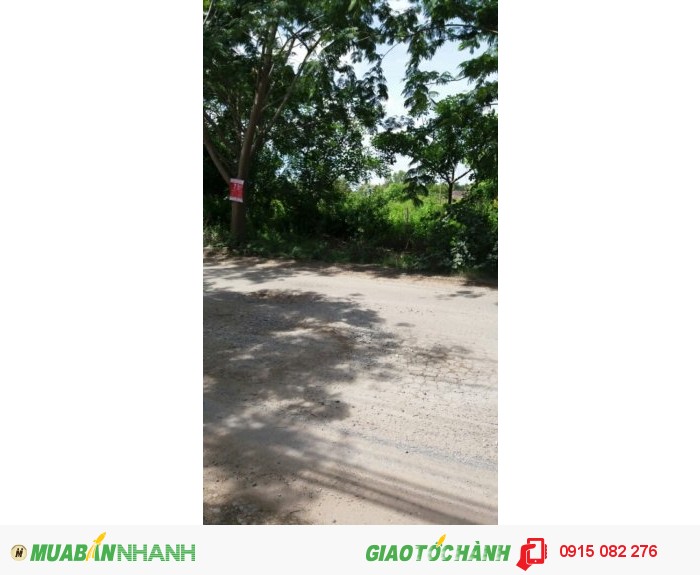 MT Long Thới Nhơn Đức 1500m2 ngang 16m giá hot