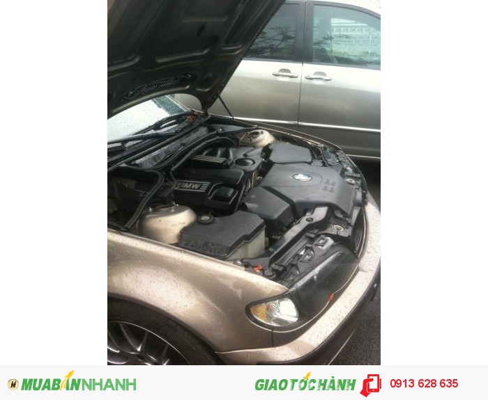 Xe BMW 318