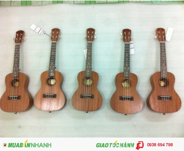 www.123raovat.com: nơi bán đàn ukulele quận bình tân 0938694798