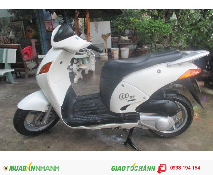 Honda @ màu trắng, bstp hình thật 100%