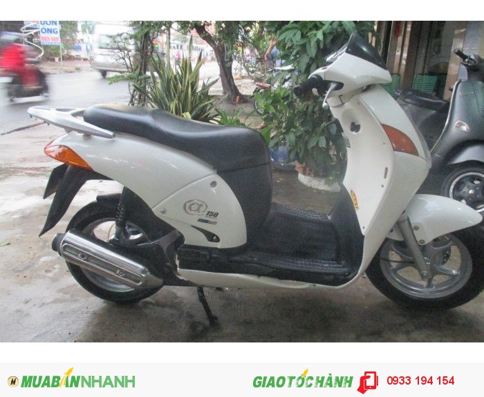 Honda @ màu trắng, bstp hình thật 100%
