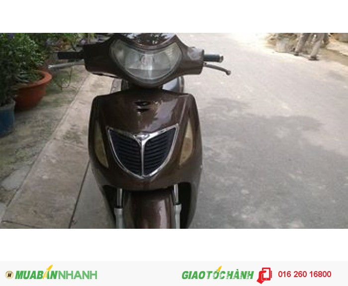 Xe Eshi 150cc hq nhật màu nâu kiểu dáng châu âu