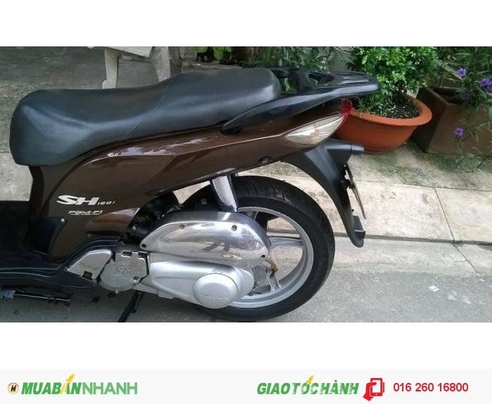 Xe Eshi 150cc hq nhật màu nâu kiểu dáng châu âu