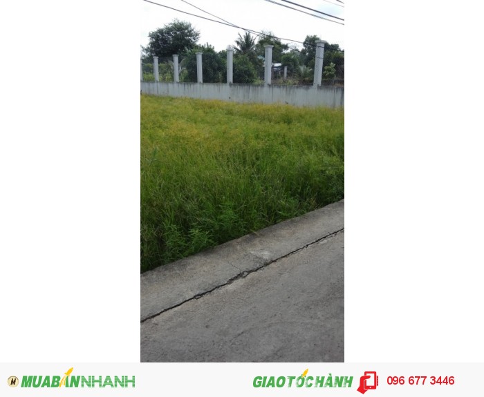 Bán đất 953m2 TC 300m2 (11.5m*26m)  giá 1.tỷ 950, Tân Kim, Cần Giuộc, Long An, gần vòng xoay Tân Kim