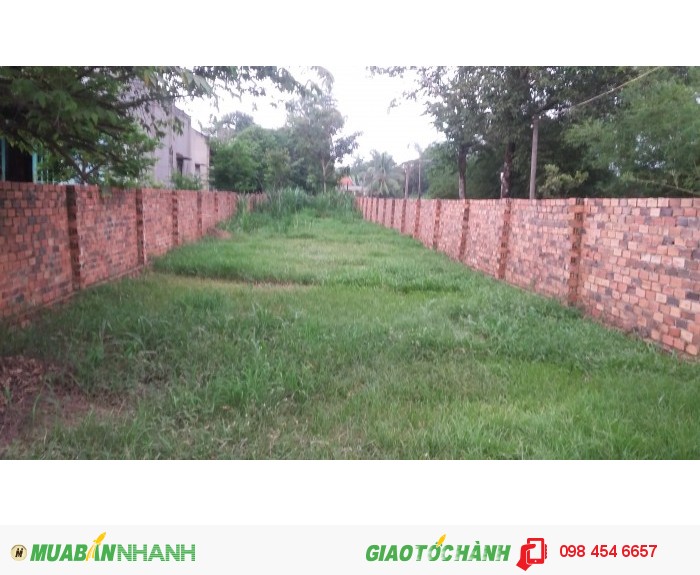 BÁN ĐẤT 2 mặt tiền đường 7x50