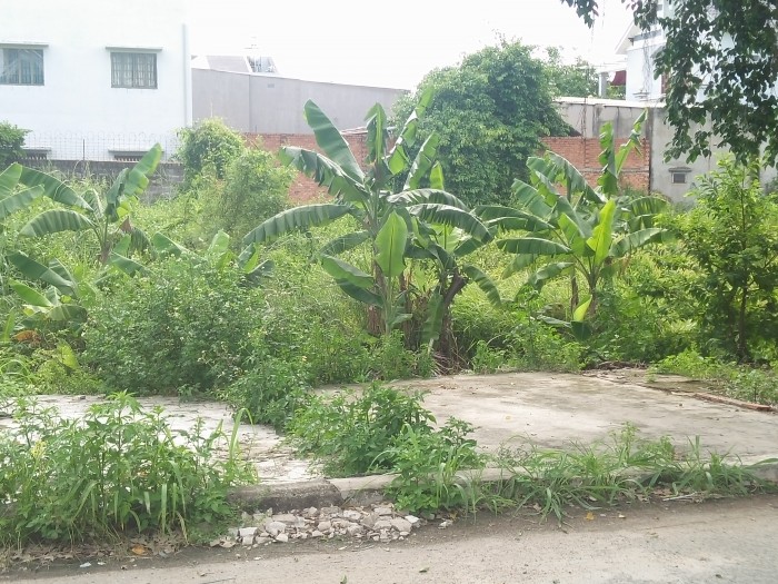 Đất thổ cư 100% , diện tích 5x17m, sổ hồng riêng, xây dựng ngay