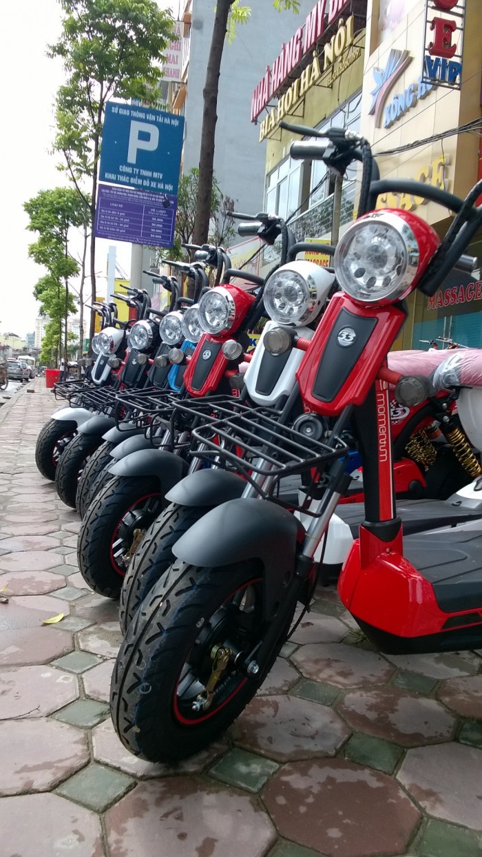 Xe bò điên, giant m133, 133s