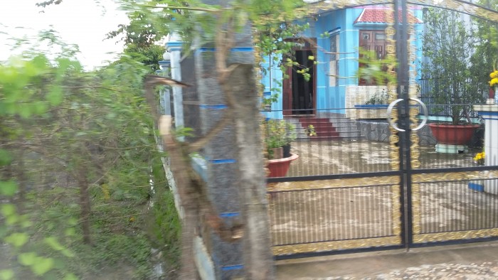 Tôi cần bán đất Bình Chánh, dt 375m2, thổ cư 100% trên đường Bùi Văn Sự_ Bình Chánh.